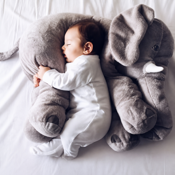 Baby Elephant Stuffed Animal baby sleeping on grey elephant