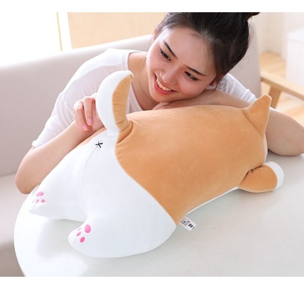 woman holding tail of shiba inu plus toy