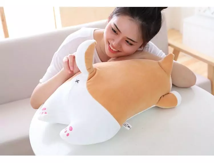 woman holding tail of shiba inu plus toy