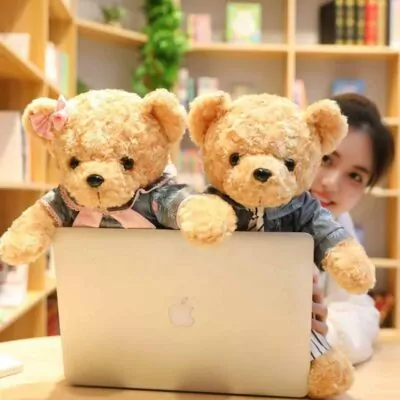 Lovely Couple Teddy Bear