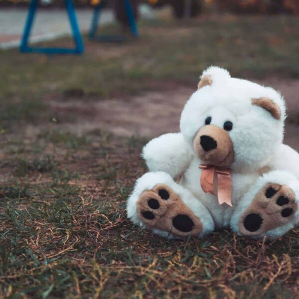 Why To Choose Toys Especially Stuffed Animals For Children
