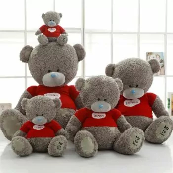 Grey Bear