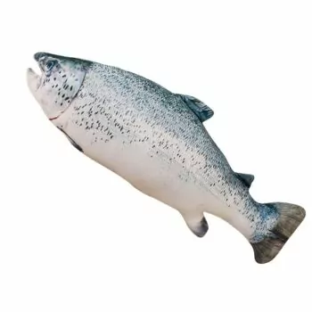 Kawaii Crucian Fish Plush