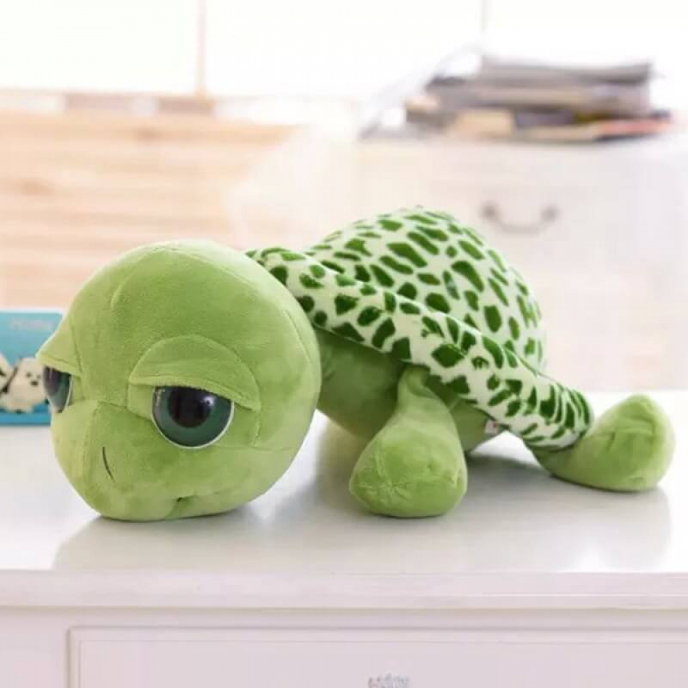 Big Eyed Turtle Plush
