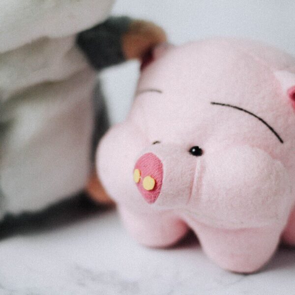 plush friends every baby will love
