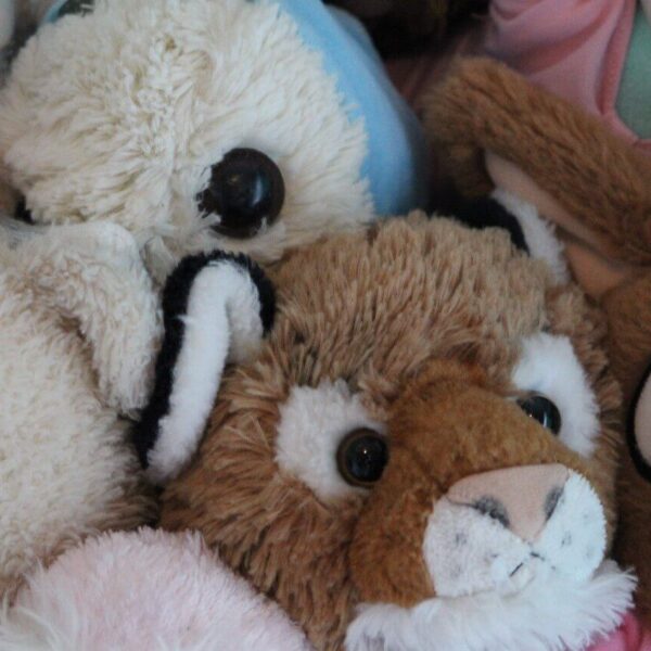 What to do with old stuffed animals?