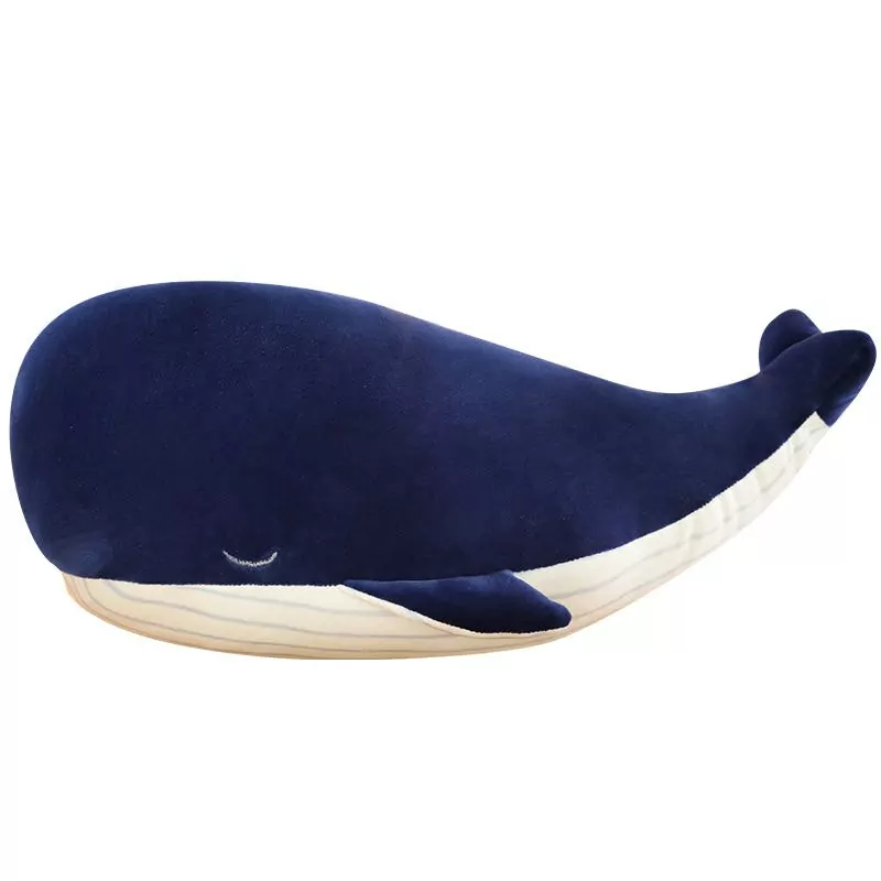 Cute Whale Plush - 25 cm, 3
