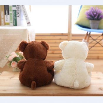 Cute Kawaii Teddy Bear