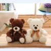 Brown and White Teddy Bears