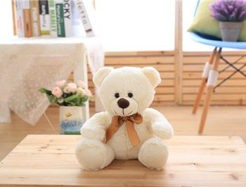 Cute Kawaii Teddy Bear