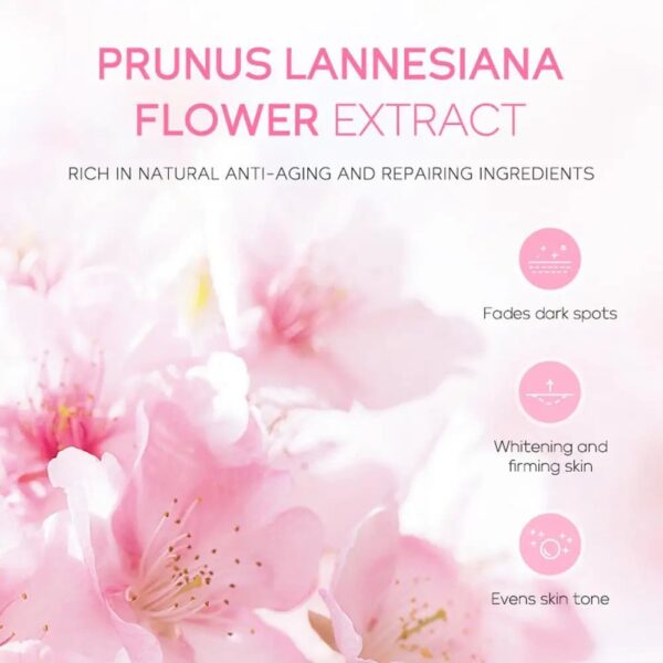 Korean Sakura Blossom Skin Care Sets Korean Sakura Blossom Skin Care Sets – cute kawaii makeup gift for girlfriend