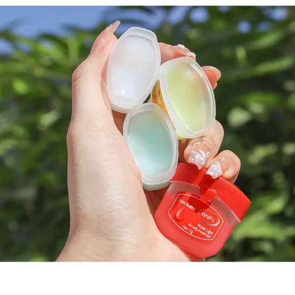 Natural Moisturizing Mini Lip Balm Sampler Sets Natural Moisturizing Mini Lip Balm Sampler Sets – best kawaii gift for birthday