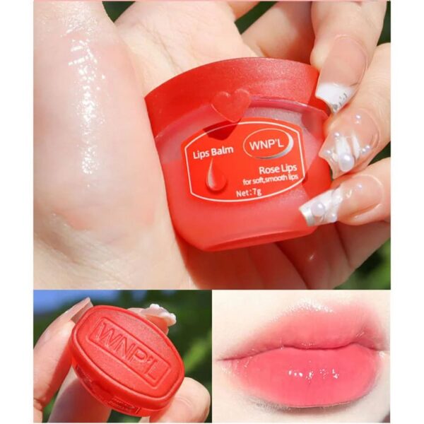 Natural Moisturizing Mini Lip Balm Sampler Sets Natural Moisturizing Mini Lip Balm Sampler Sets – kawaii aesthetic gift for adults